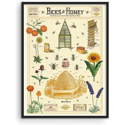 Haus and Hues Honey Bee Decor Cavallini Poster Bee Poster Vintage Posters for Room Aesthetic Prints and Posters Vintage Prints and Plant Posters Follygraph Fleurs Vintage Poster UNFRAMED 12"x16" - BWEDXUJYQ