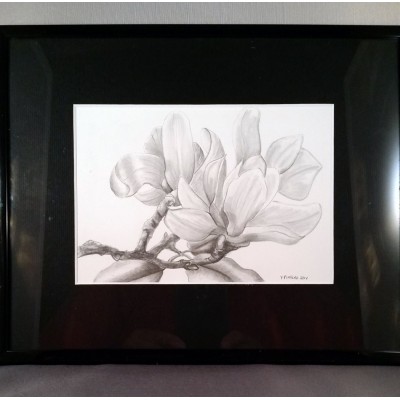Magnolia Cluster Graphite Drawing - B2FJOUDZX