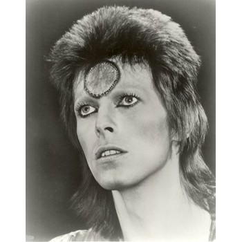 David Bowie Photo Ziggy Stardust Rock Star Music Photos 8x10 - BOUUA2U2K