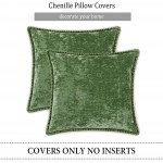 decorUhome Decorative Throw Pillow Covers 18x18 Set of 2 Farmhouse Velvet Pillow Covers Square Chenille Pillow Covers with Stitched Edge for Couch Sofa Forest Elf - BR1SFXGRL