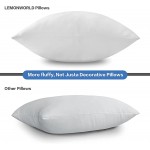 18 x 18 Throw Pillow Inserts Outdoor Pillow Insert Waterproof for Couch Set of 2 Large Lumbar Pillows for Bed Square Couch Pillows White Sofa Pillow Indoor - BQATWKJS6