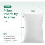 Acanva Premium Throw Pillow Inserts with Microfiber Filled Lumbar Support Decorative Stuffer for Sofa Bed Couch & Chairs 16x26 White 2 Count - BI7QBXOX8