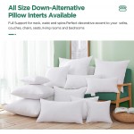 Acanva Premium Throw Pillow Inserts with Microfiber Filled Lumbar Support Decorative Stuffer for Sofa Bed Couch & Chairs 16x26 White 2 Count - BI7QBXOX8