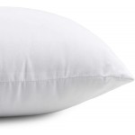 EVERMARKET Square Sham Stuffer Hypo-Allergenic Poly Throw Pillow Form Insert White 18 L x 18 W 4 Pack - BCXZUF39J
