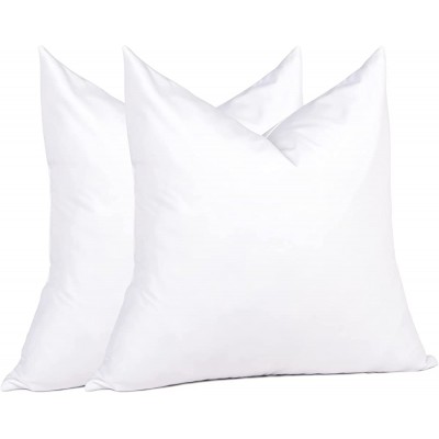 Puredown Throw Pillow Inserts 22 x 22 Pack of 2 White Big Throw Pillows for Floor Couch Bed Machine Washable - BKA37V9S9