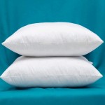 Set of 2 Cotton Fabric Square Pillow Inserts Down and Feather Decorative Throw Pillows Inserts - BBXEODUU5