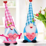 2 Pack Mother's Day Mr and Mrs Gnomes Plush Gift- Handmade Swedish Tomtes with Pink and Blue Plaid Hats Adorable Faceless Figurines Table Centerpiece for Mother's Day Mom Grandma Presents Home Decors - BTCG9Z66C
