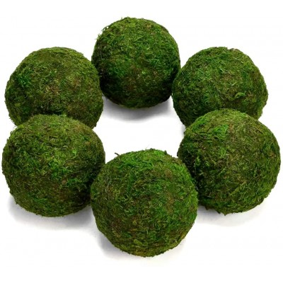 Farmoo Moss Balls Preserved All Natural 3.5"-Set of 6 Natural Green - B62L2Z12V